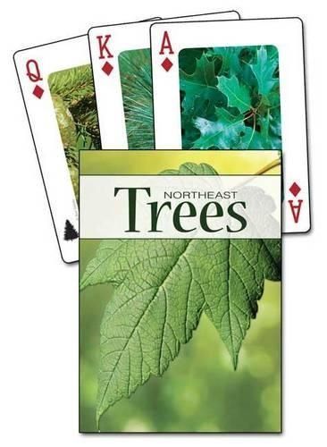 Trees of the Northeast Playing Cards By Stan Tekiela 9781591933915