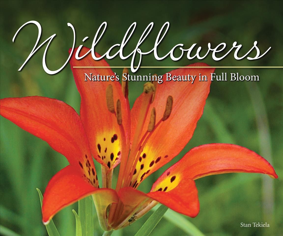 Wildflowers By Stan Tekiela 9781591937883 (Paperback)