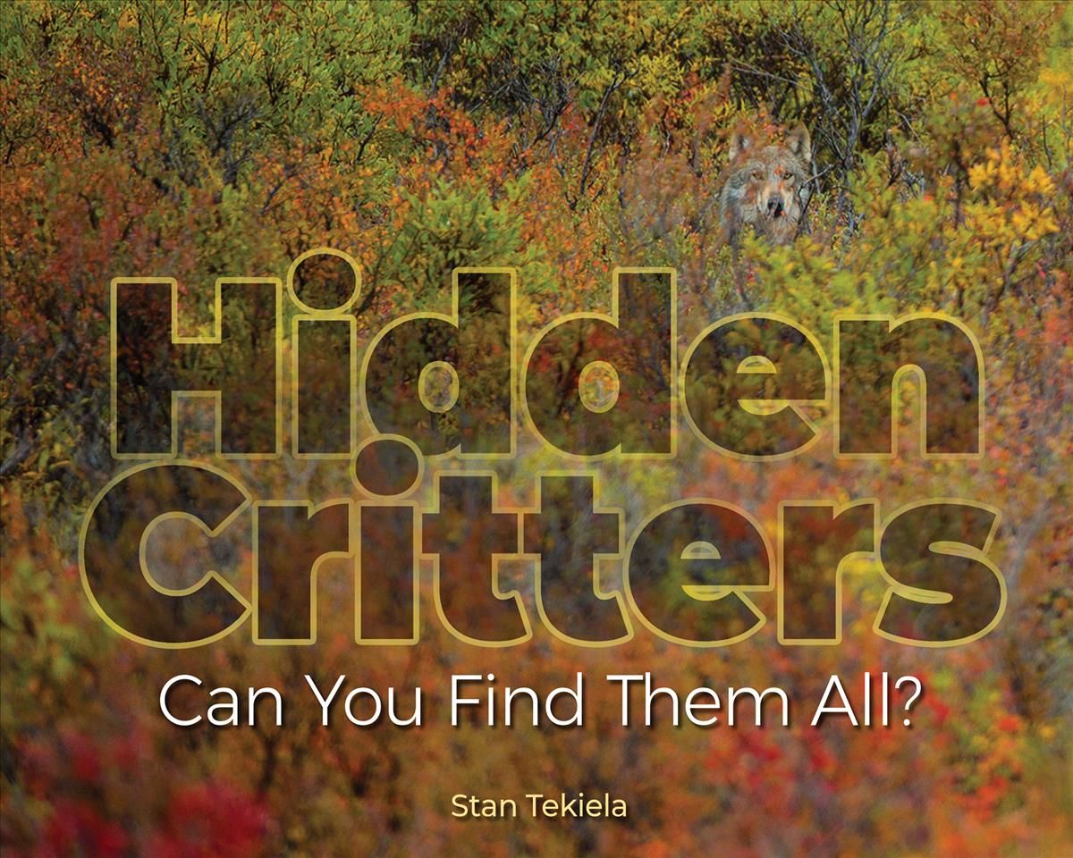 Hidden Critters By Stan Tekiela 9781591938125 (Hardback)