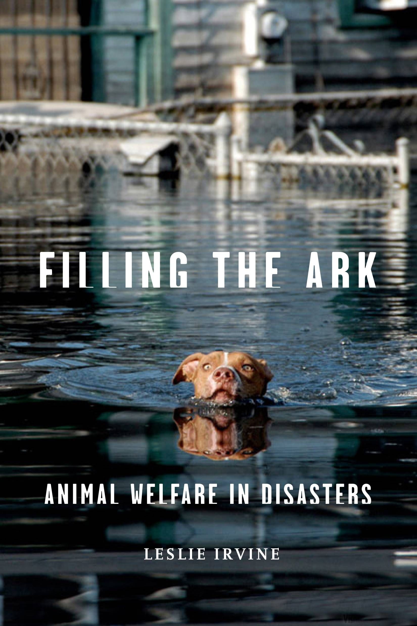 Filling the Ark By Leslie Irvine 9781592138340 (Hardback)