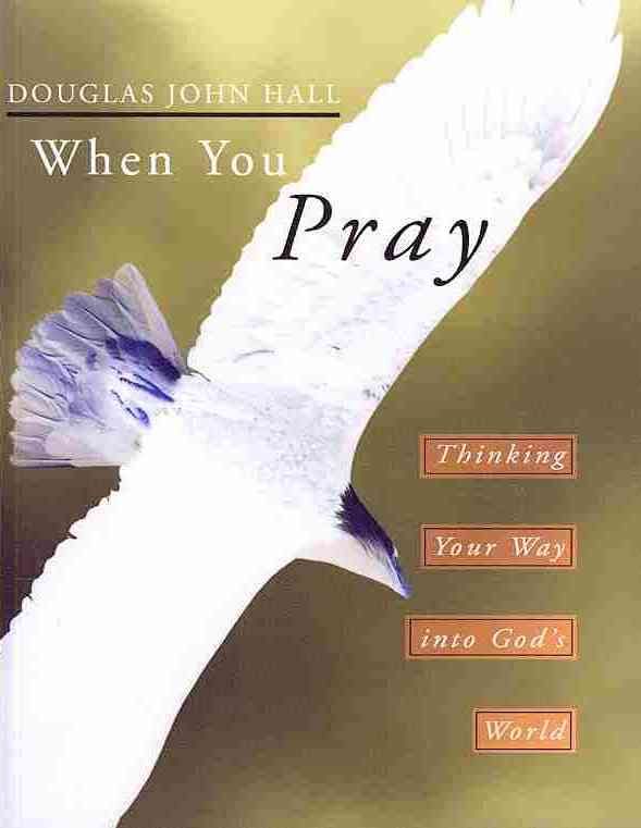 When You Pray By Douglas John Hall 9781592441785 (Paperback)