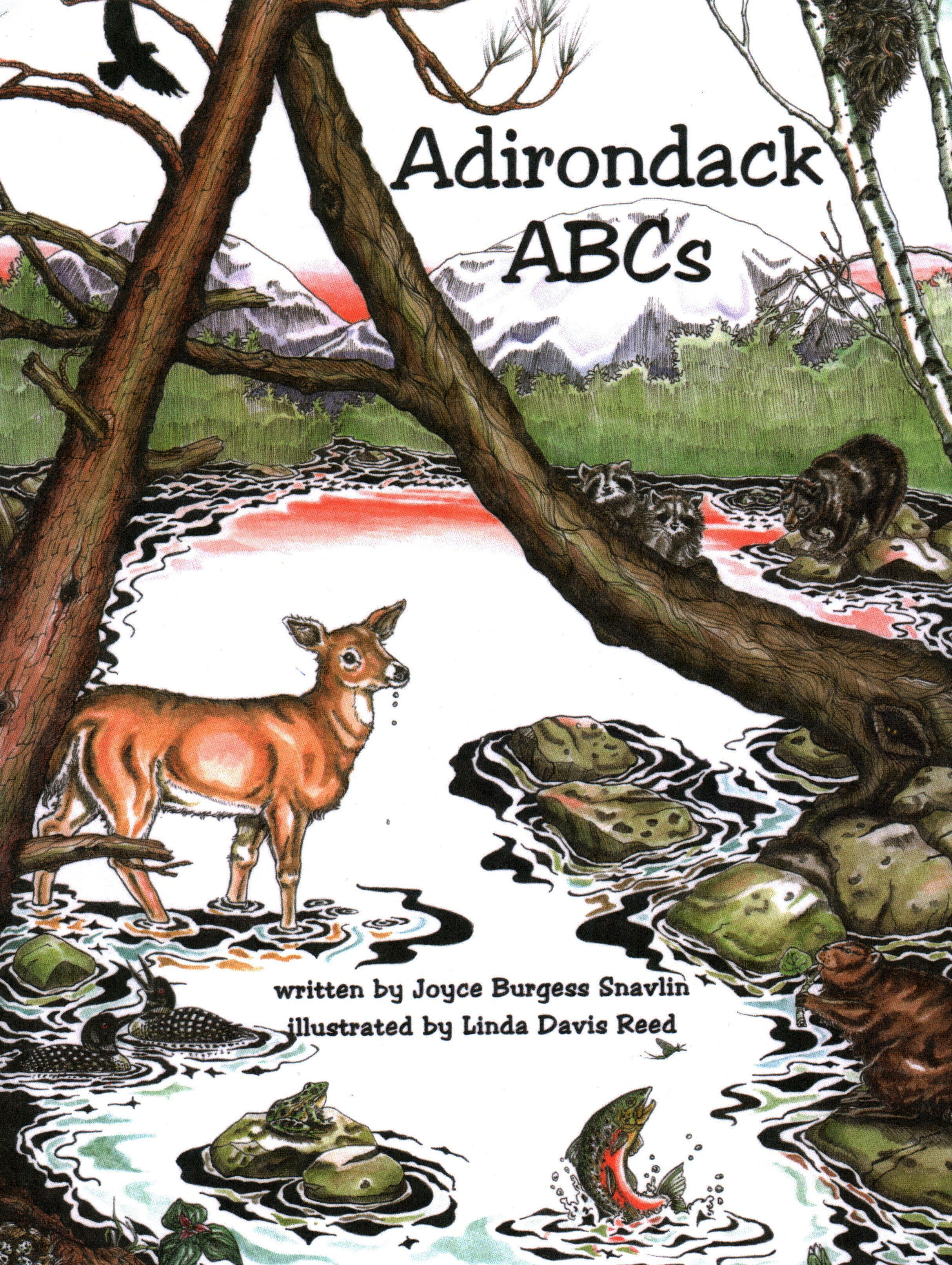 Adirondack ABCs By Snavlin Reed 9781595310286 (Paperback)
