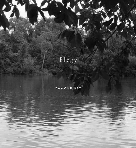 Dawoud Bey: Elegy By Valerie Cassel Oliver 9781597115643 (Hardback)