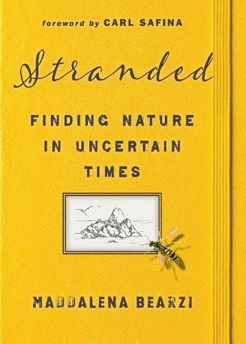 Stranded 9781597146043 (Hardback)