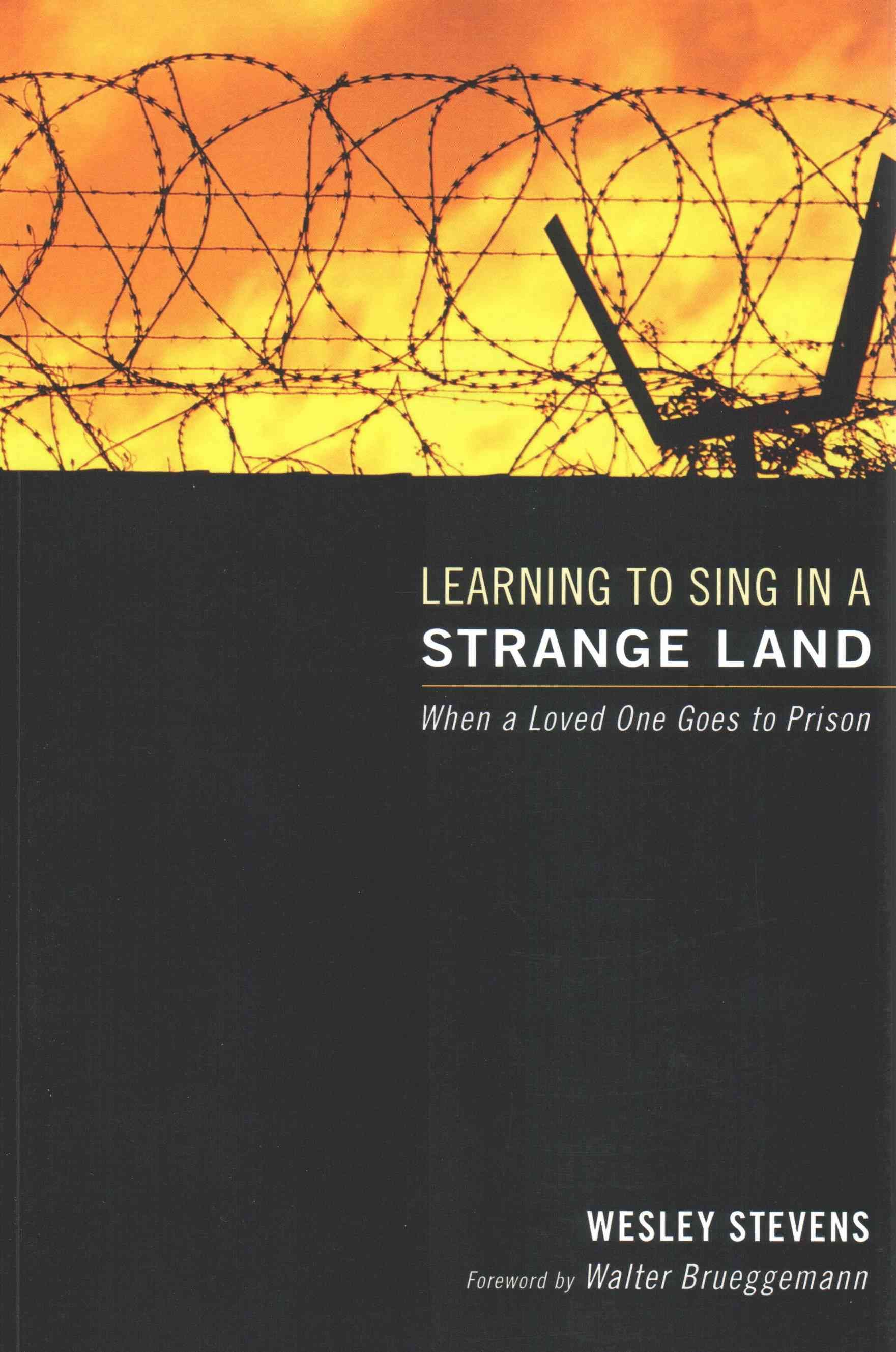 Learning to Sing in a Strange Land By Stevens, Wesley 9781597525350