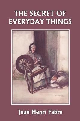 The Secret of Everyday Things (Yesterday's Classics) 9781599152523