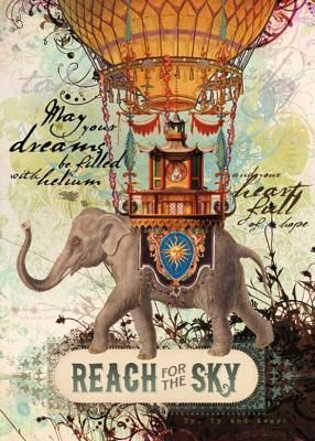 Reach for the Sky By Amber Lotus 9781602378063 (Cards)