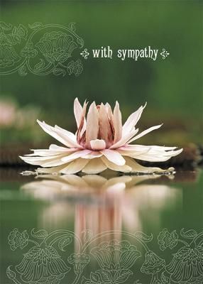 With Sympathy By Amber Lotus 9781602378551 (Cards)