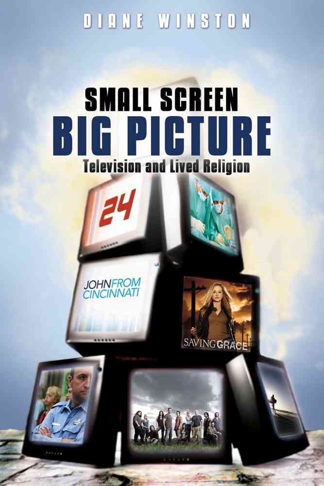 Small Screen, Big Picture By Diane Winston 9781602581852 (Paperback)