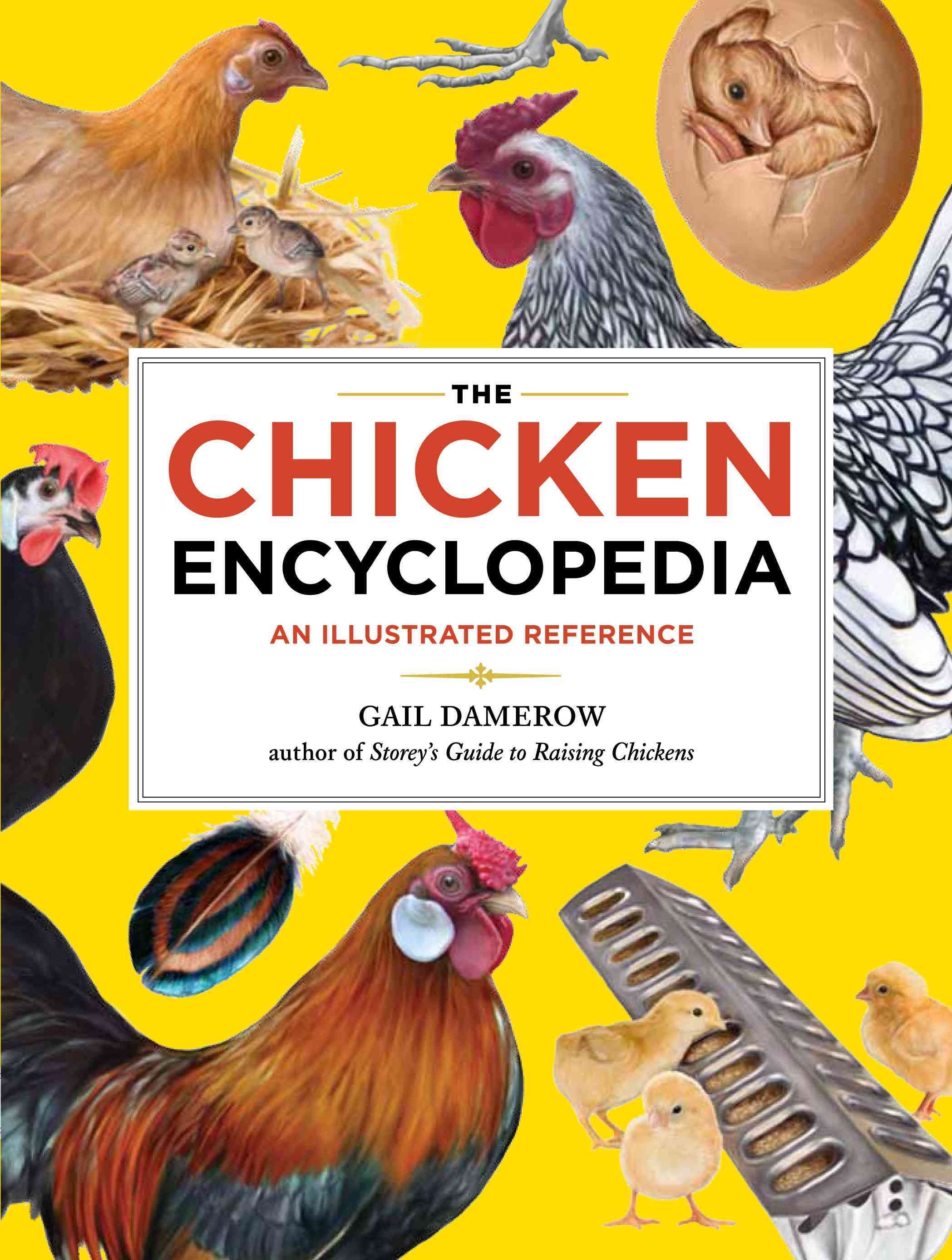 The Chicken Encyclopedia By Gail Damerow 9781603425612 (Paperback)