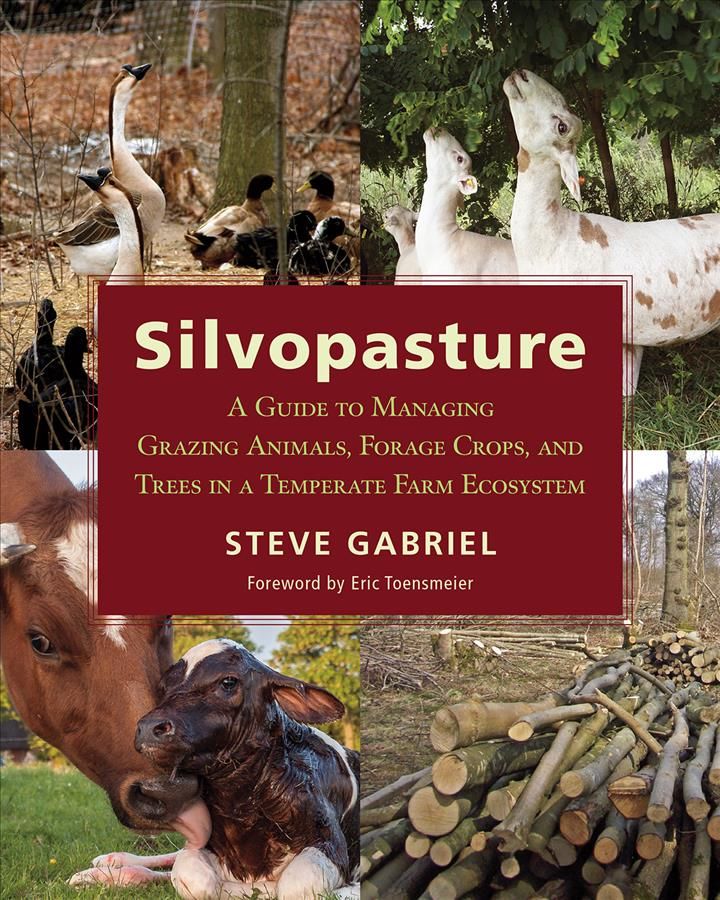 Silvopasture By Steve Gabriel 9781603587310 (Paperback)