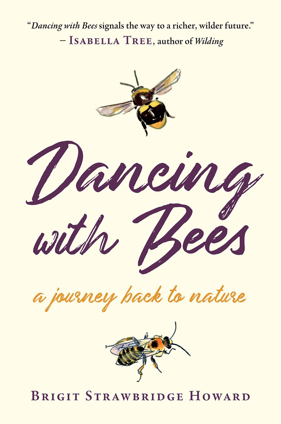 Dancing With Bees By Brigit Strawbridge Howard 9781603589864