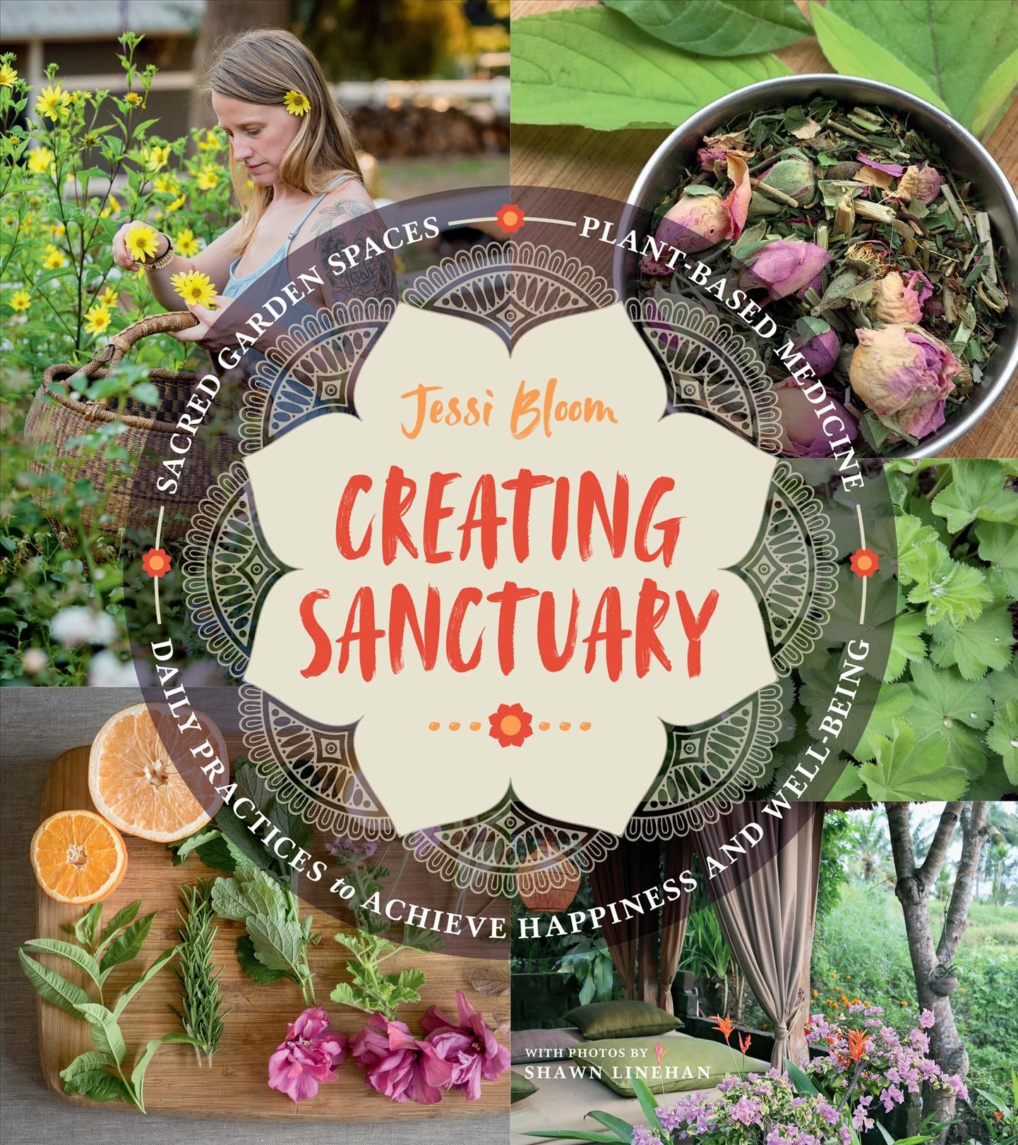 Creating Sanctuary 9781604697544 (Paperback)