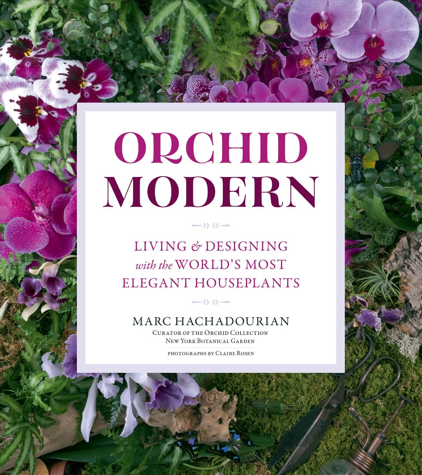 Orchid Modern By Marc Hachadourian 9781604698169 (Paperback)
