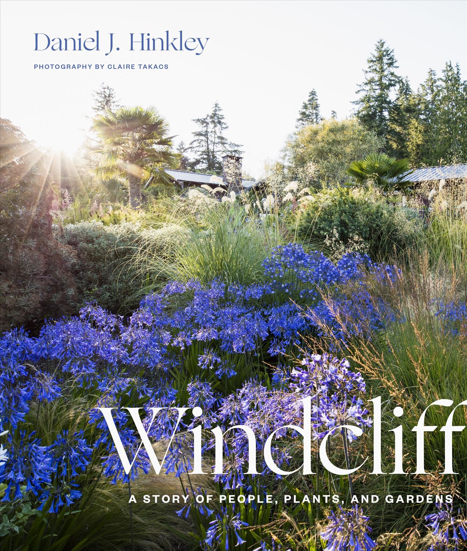Windcliff By Daniel J. Hinkley (author), Claire Takacs (illustrator)