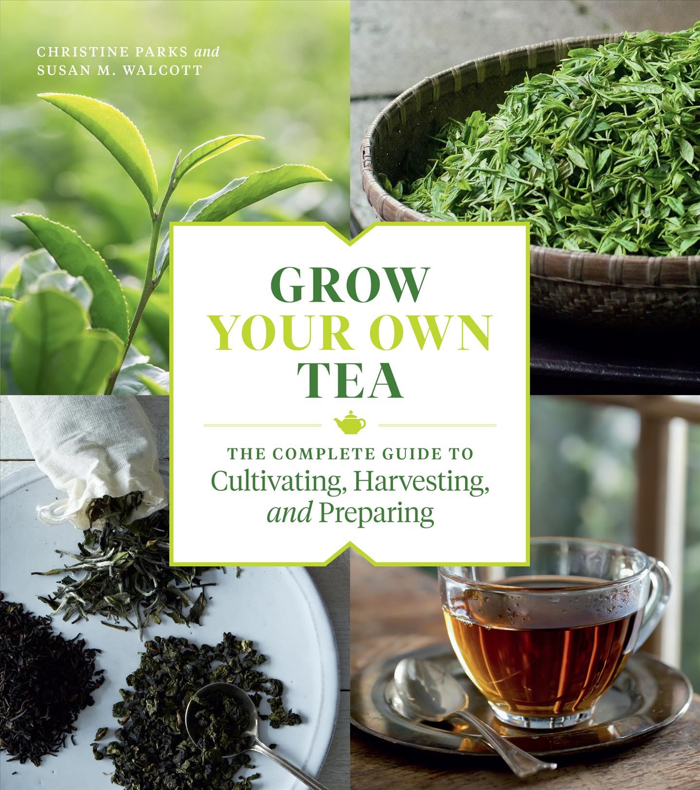 Grow Your Own Tea By Christine Parks, Susan M. Walcott 9781604699319