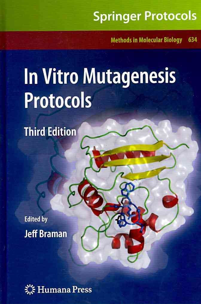 In Vitro Mutagenesis Protocols By Jeff Braman 9781607616511 (Hardback)
