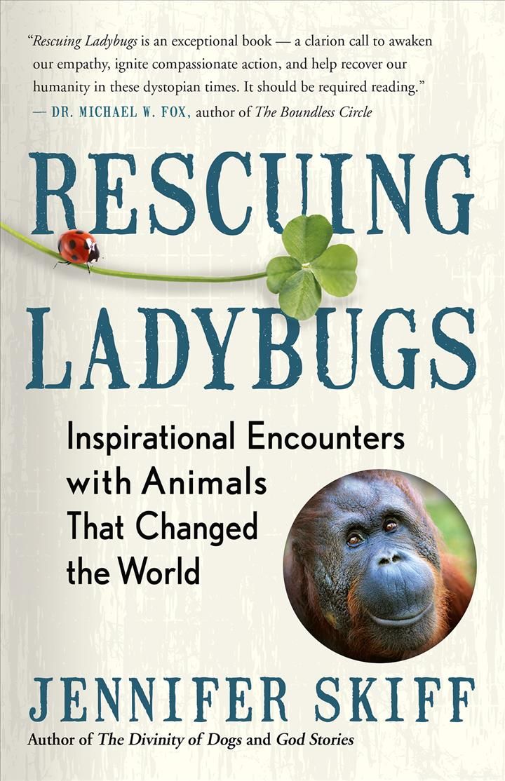 Rescuing Ladybugs By Jennifer Skiff 9781608685028 (Paperback)