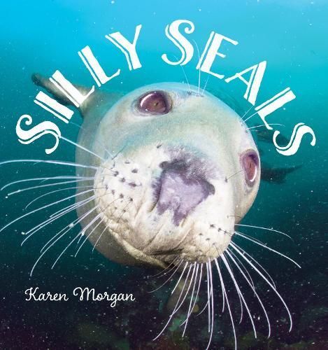 Silly Seals By Karen Morgan 9781608939763 (Hardback)