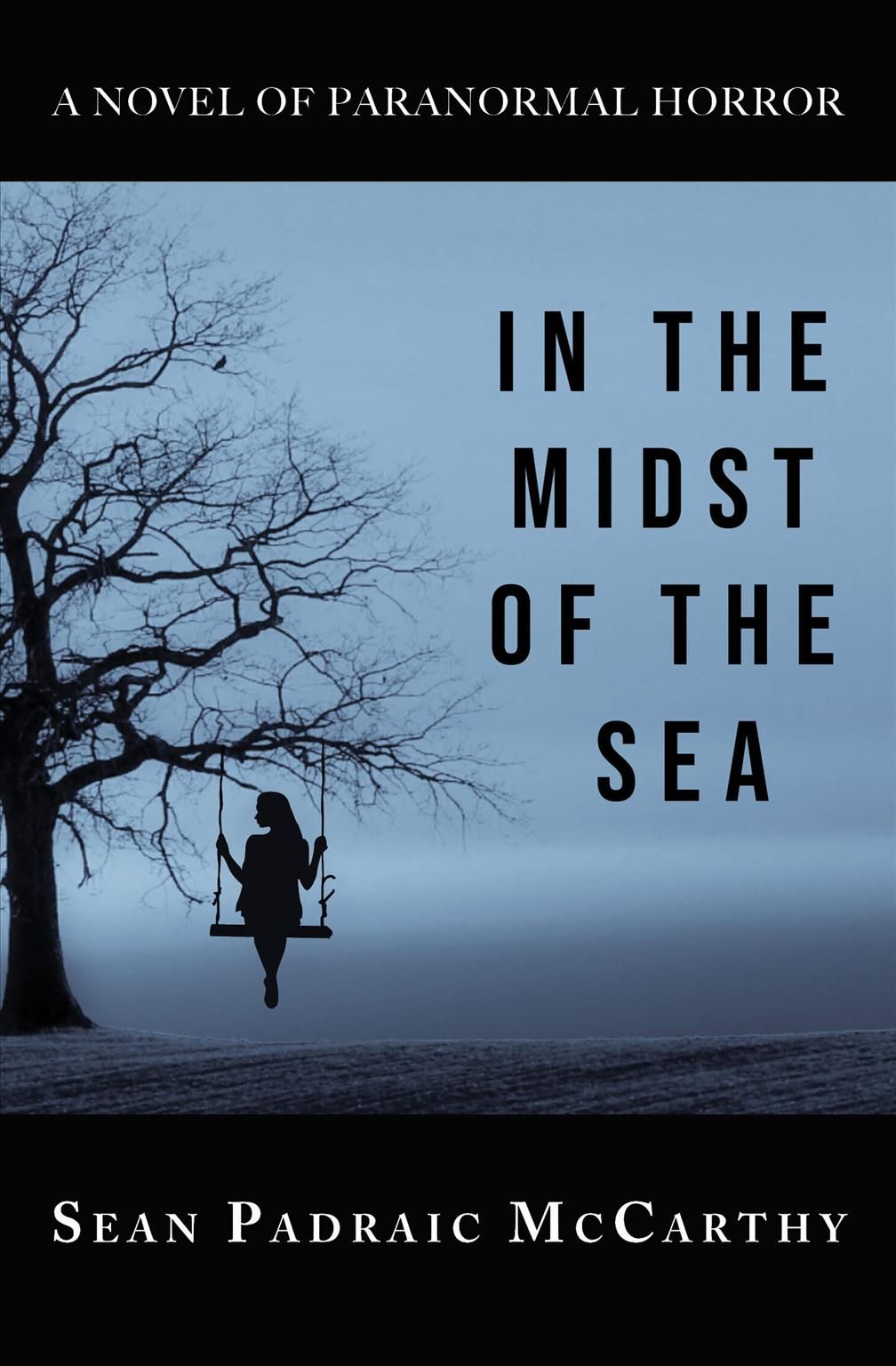 In the Midst of the Sea By Sean Padraic McCarthy 9781610353342
