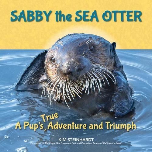 Sabby the Sea Otter By Steinhardt, Kim 9781610353533 (Paperback)