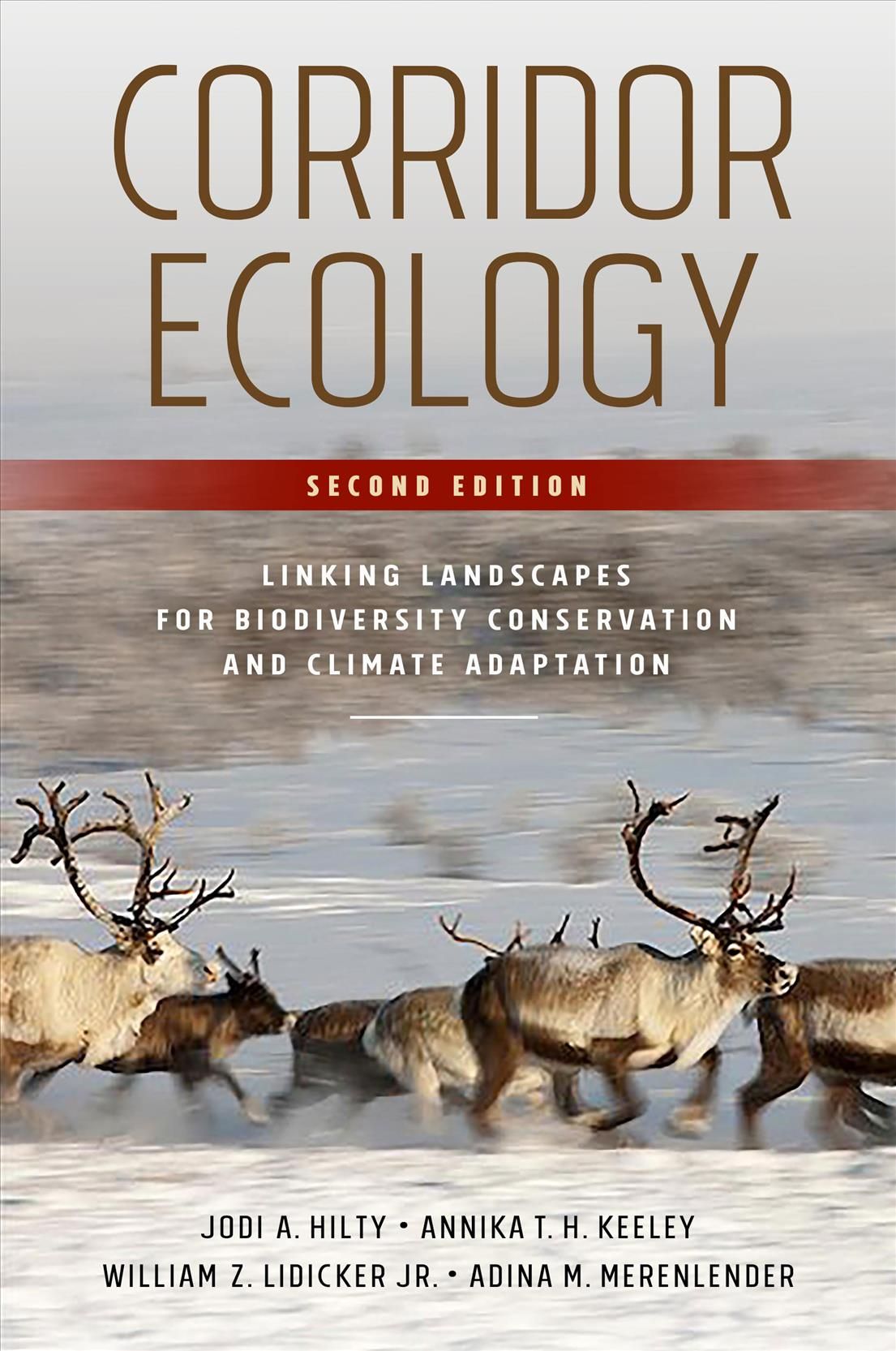 Corridor Ecology By Jodi A Hilty 9781610919517 (Paperback)