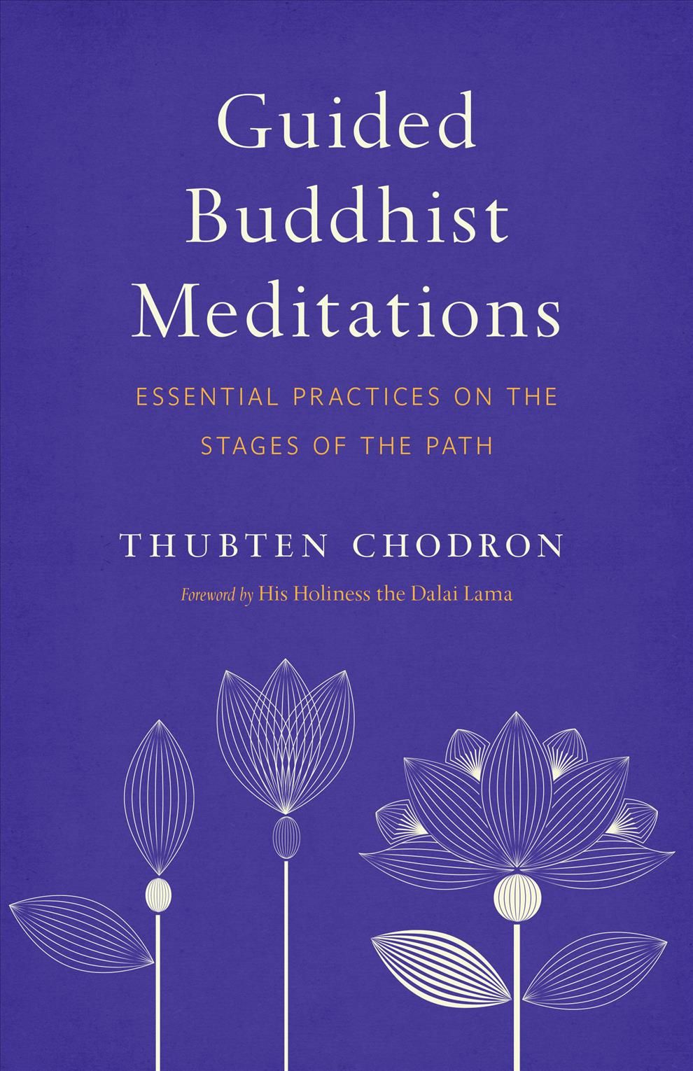 Guided Buddhist Meditations By Thubten Chodron 9781611807301