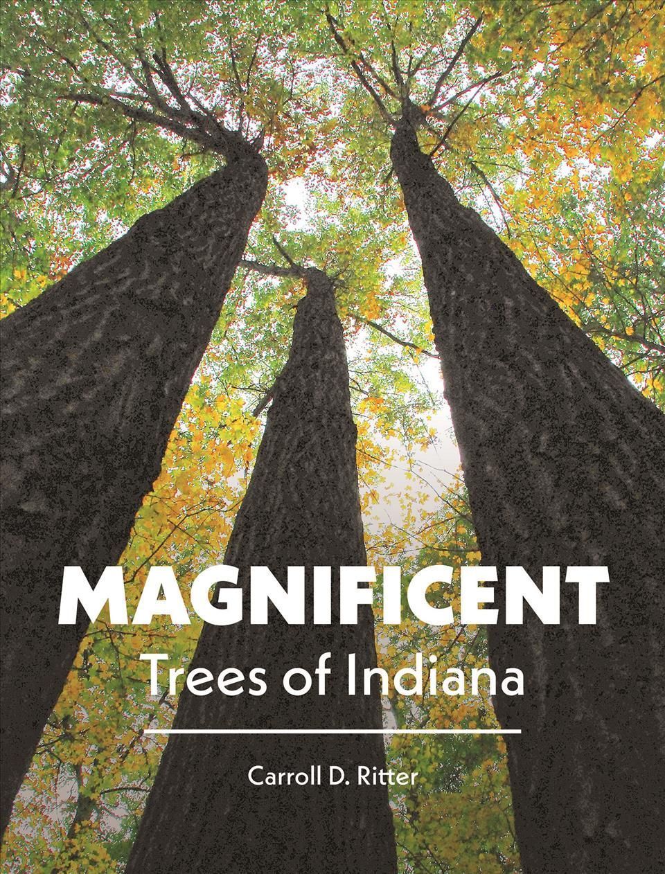 Magnificent Trees of Indiana By Carroll D. Ritter 9781612497419