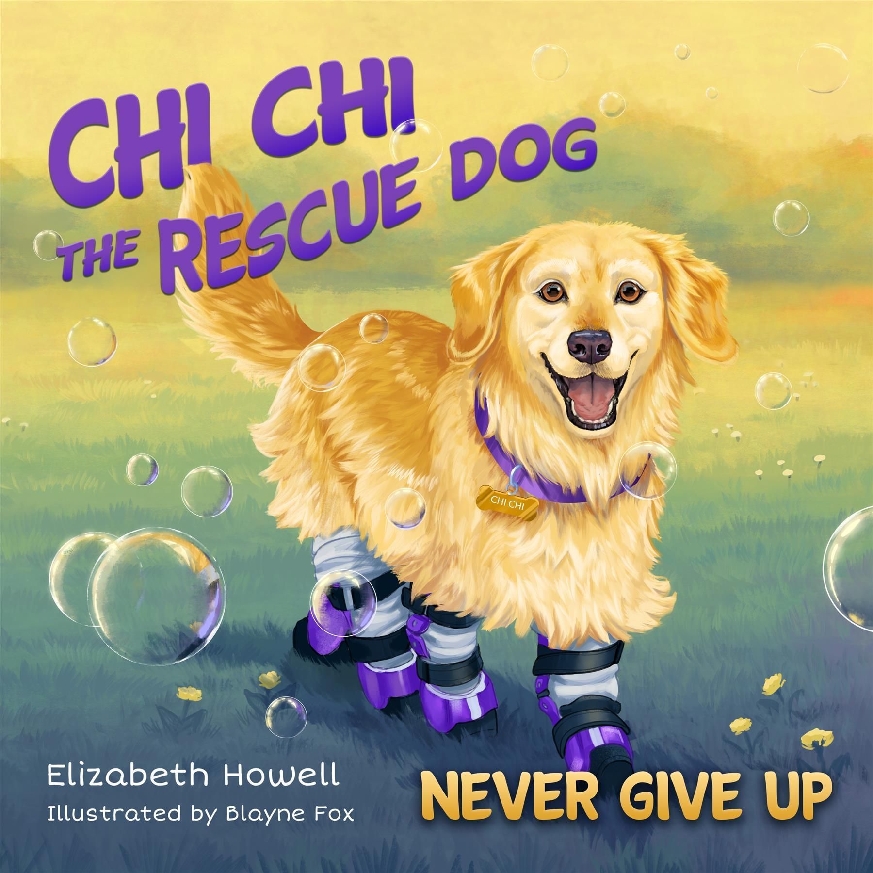 Never Give Up By Elizabeth Howell (author), Blayne Fox (illustrator)