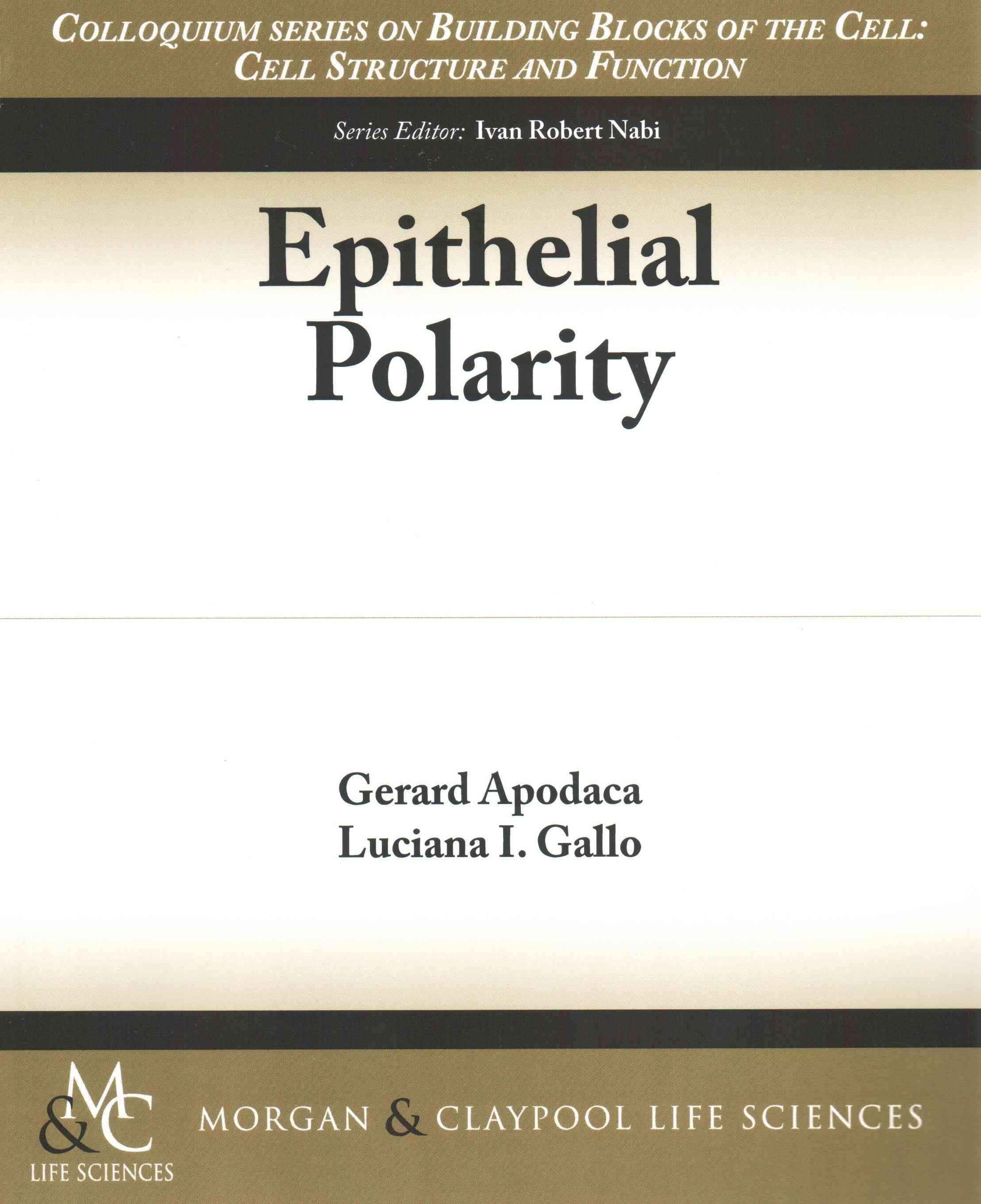 Epithelial Polarity By Gerard Apodaca 9781615043989 (Paperback)