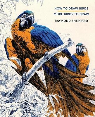 How to Draw Birds / More Birds to Draw By Raymond Sheppard (Paperback)
