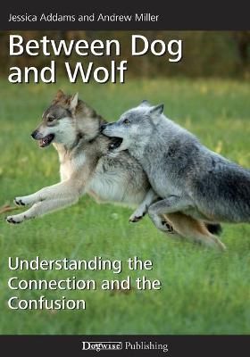Between Dog and Wolf By Miller 9781617812811 (Paperback)