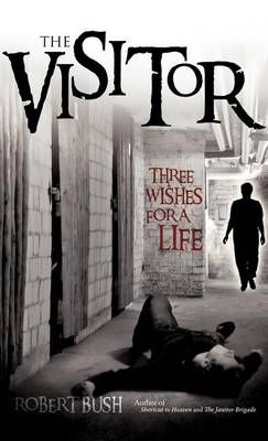 The Visitor By Bush, Robert 9781619966277 (Hardback)