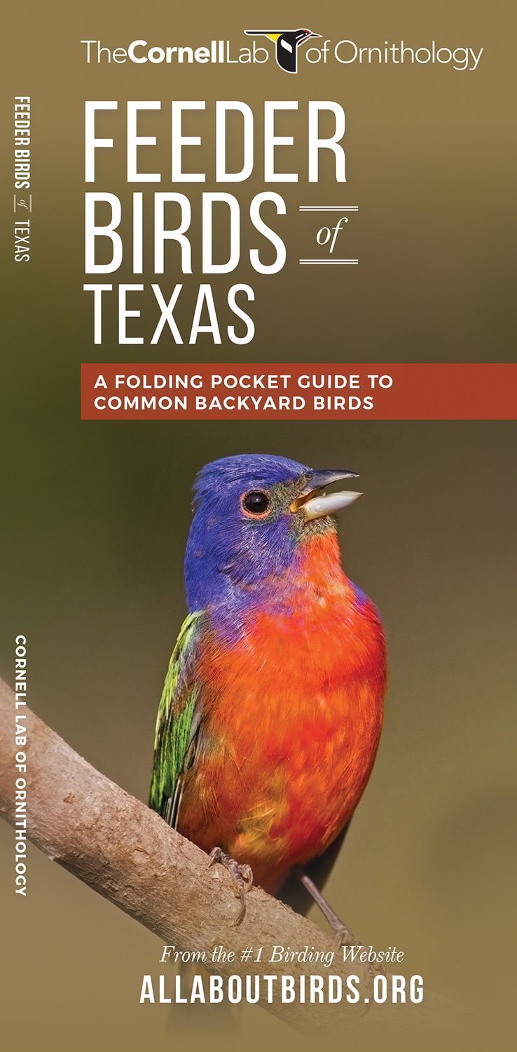 Feeder Birds of Texas By Waterford Press 9781620052204 (Pamphlet)