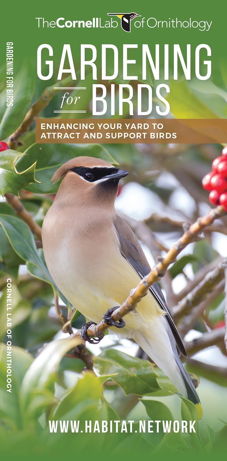Gardening for Birds By Waterford Press 9781620052365 (Pamphlet)