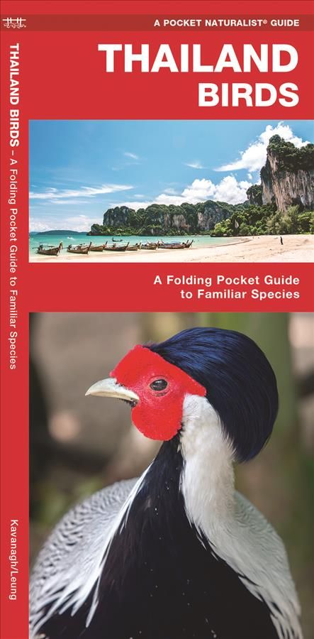 Thailand Birds By James Kavanagh 9781620052778 (Pamphlet)