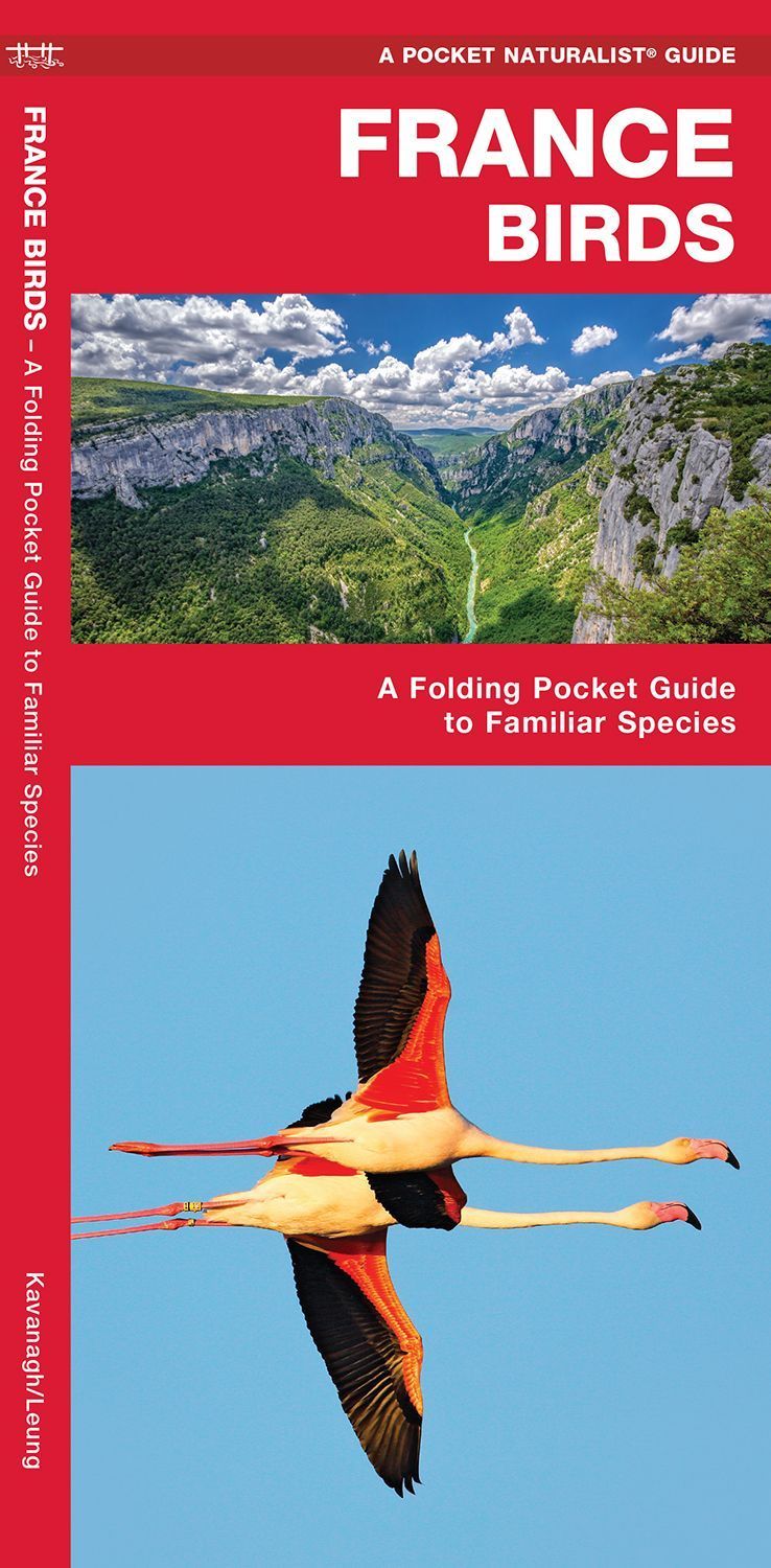 France Birds By James Kavanagh 9781620053447 (Pamphlet)