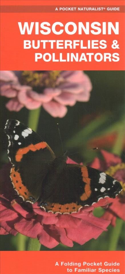 Wisconsin Butterflies & Pollinators By James Kavanagh 9781620053867