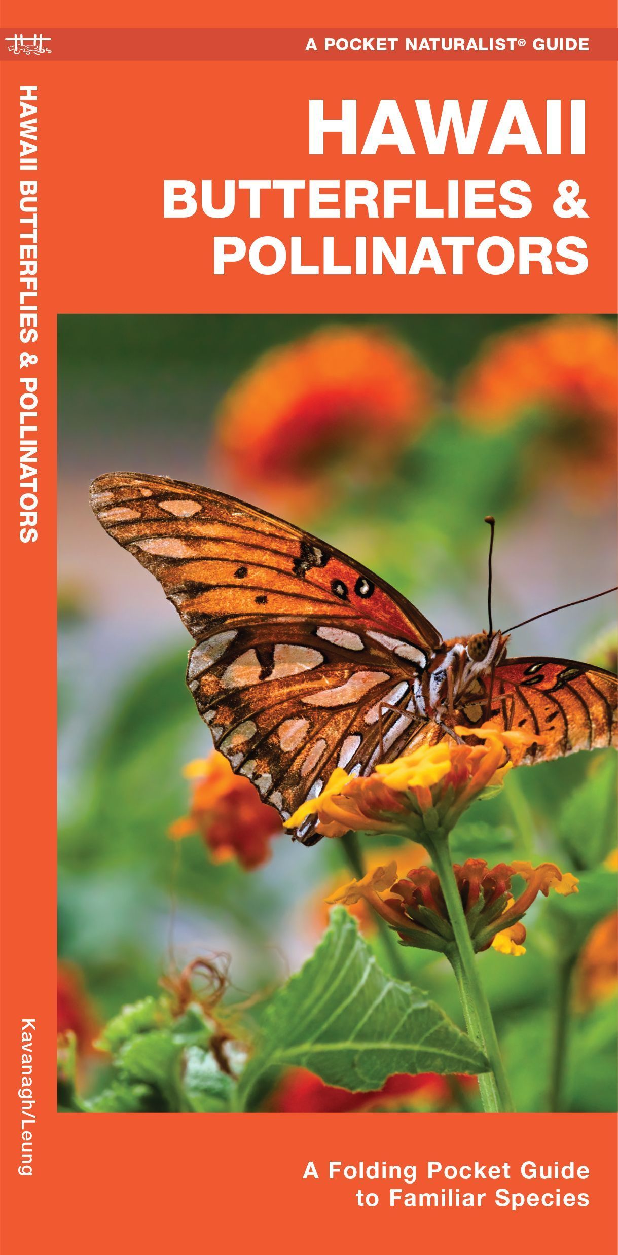 Hawaii Butterflies & Pollinators By James Kavanagh 9781620054451