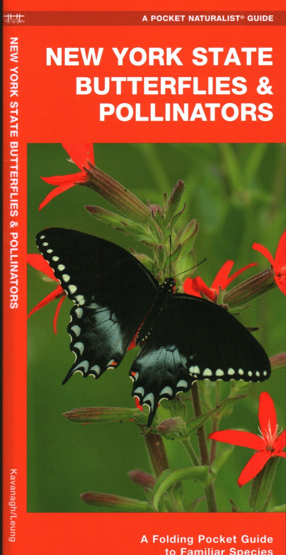 New York State Butterflies & Pollinators By James Kavanagh (Pamphlet)