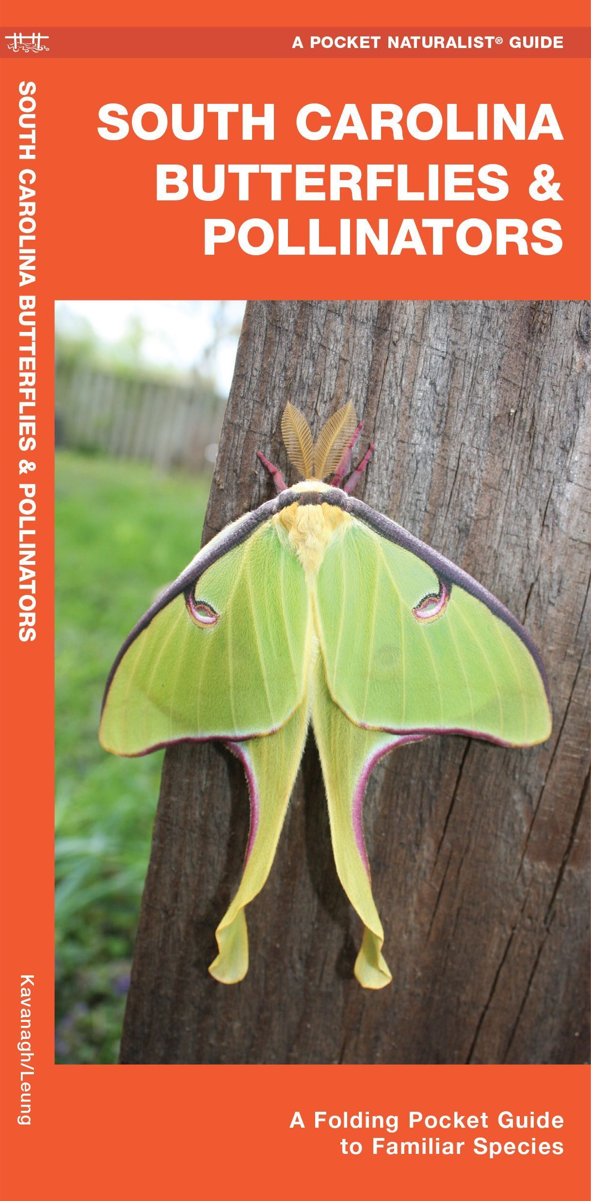 South Carolina Butterflies & Pollinators By James Kavanagh (Pamphlet)