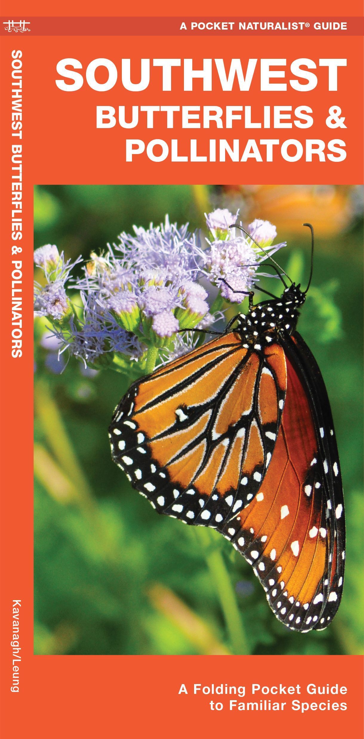 Southwest Butterflies & Pollinators By James Kavanagh 9781620054604