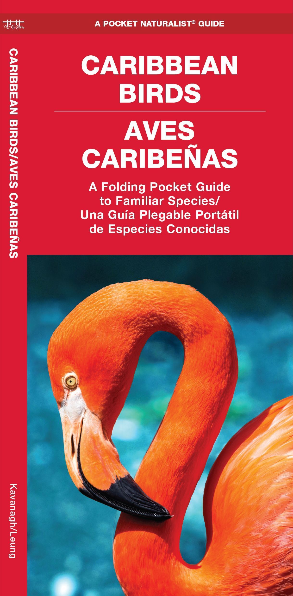 Caribbean Birds/Aves Caribenas By Waterford Press 9781620055502