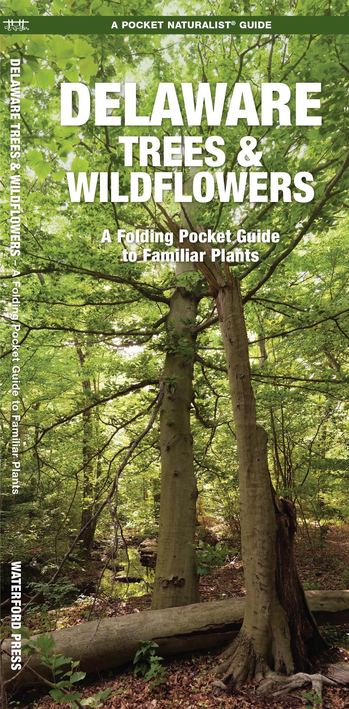 Delaware Trees & Wildflowers By Kavanagh 9781620055700 (Pamphlet)