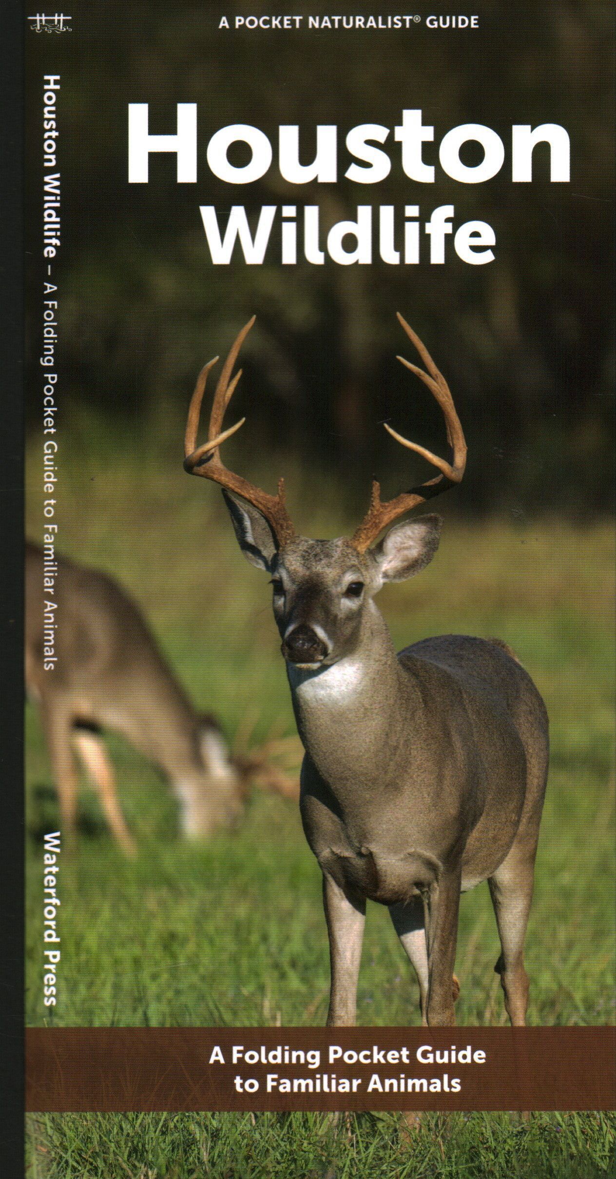 Houston Wildlife By Waterford Press 9781620056189 (Pamphlet)
