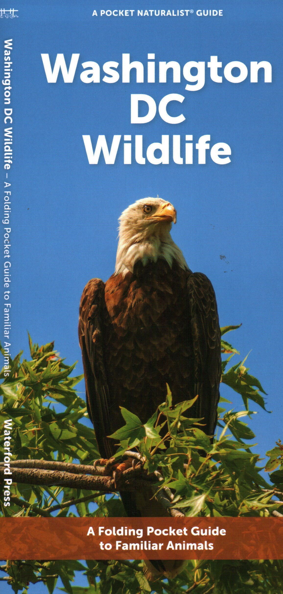 Washington DC Wildlife By Waterford Press 9781620056226 (Pamphlet)