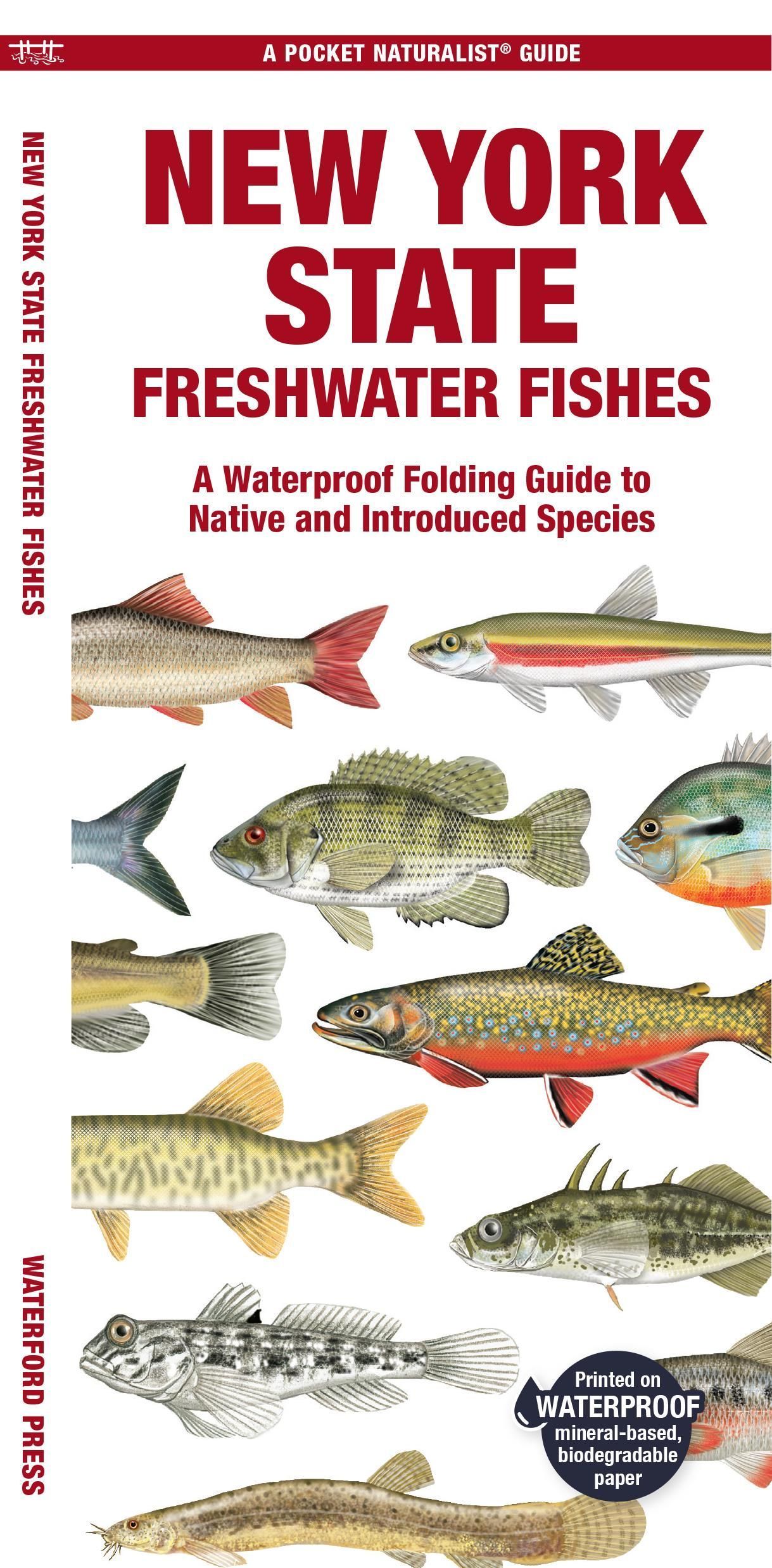 New York State Freshwater Fishes By Matthew Morris 9781620056660