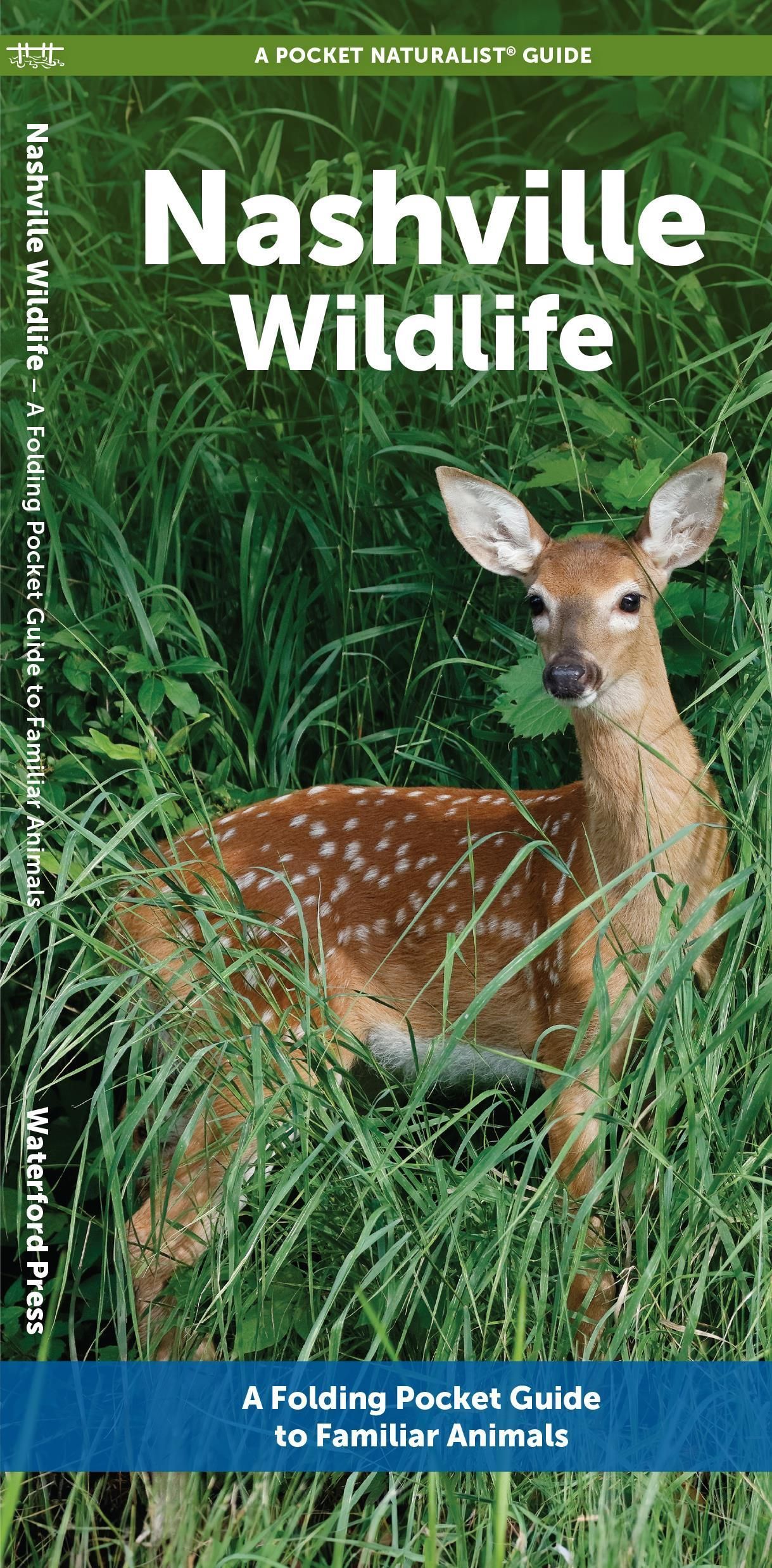 Nashville Wildlife By Waterford Press 9781620057049 (Pamphlet)
