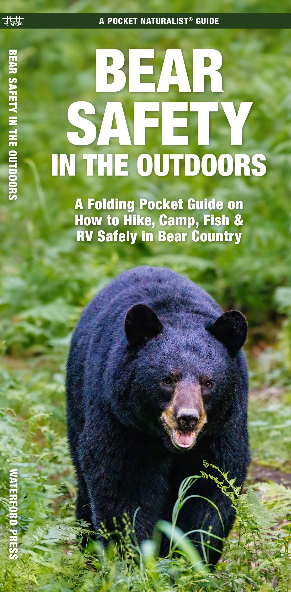 Bear Safety in the Outdoors By Jason Schwartz 9781620057384