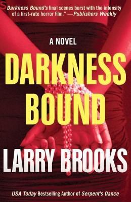 Darkness Bound By Larry Brooks 9781620454558 (Paperback)